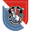 11th Special Forces Group Decal 