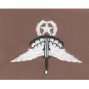 Military Freefall Master Patch 
