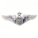 U.S. Air Force Navigator (Senior) Silver Oxide Finish