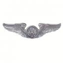  U.S. Air Force Enlisted Aircrew Wings (Basic) Silver Oxide Finish.