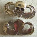 Vietnam MACV SOG Skull Paratrooper Wings Sterling 