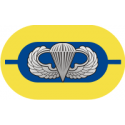 1st Battalion 504th Parachute Infantry Regiment Oval  Decal