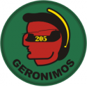 205th Aviation Company -Geronimos Decal