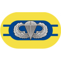 2nd Battalion 504th Parachute Infantry Regiment Oval Decal