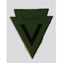 Special Forces Recondo Pin
