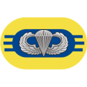 3rd  Battalion 504th Parachute Infantry Regiment Oval Decal