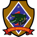 3rd Assault Amphibian Battalion Decal     