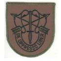 Special Forces Crest Patch OD