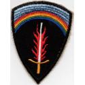US Army Europe Patch