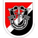 6th Special Forces Group Decal