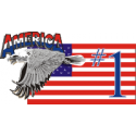#1 America Eagle & Flag Decal