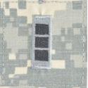 Army Warrant Officer 3 Rank ACU Velcro Patch