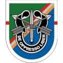 75th Ranger Regiment 1st Battalian Flash - Special Forces