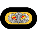 75th Ranger Oval with Jump Wings Decal