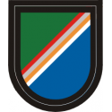 75th Ranger Regiment Flash