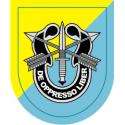 8th Special Forces Group Decal