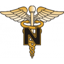 Army Nurse Decal