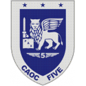 Combined Air Operation Center 5 Decal