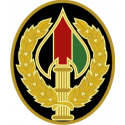 Combat Service Identification Badge, Special Operations Joint Task Force Afghani