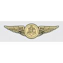 Navy Aircrew Wings Decal