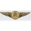 Navy Aircrew Wings Decal