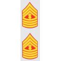 USMC E-9 Master G SGT Decal