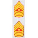 USMC E-9 SGT Major Decal