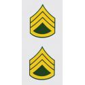 US Army E-6 Staff SGT 2 Piece Decal