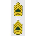 US Army E-8 MST SGT 2 Piece Decal