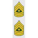 US Army E-9 SGT Major 2 Piece Decal
