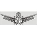 Master Air Force Space Badge Decal