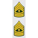 US Army E-8 1st SGT Rank 2 Piece Decal