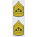 US Army E-9 Command SGT Major Rank 2 Piece Decal