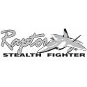 Raptor F-22 Stealth Fighter Bumper Sticker