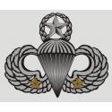 COMBAT JUMP WINGS(TWO JUMP) DECAL