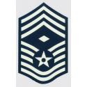 USAF E-9 Chief 1st SGT Decal 