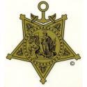  "Medal of Honor" - Navy/USMC  Decal