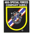 Special Forces 46th Group Decal