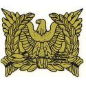 Special Forces Warrant Officer Decal