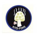  Special Forces Son Tay Raid KITD/FOHS Decal (Vietnam)