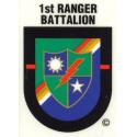  Ranger 1st  Battalion Flash Decal 