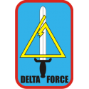 Delta Force Decal
