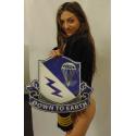507th Airborne Parachute Infantry Regiment  Metal Sign  17 x 16"