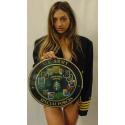 U.S. Special Forces SF Group all metal Sign with SSI and Flashes 14" Round 