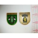 10th Special Forces Group FLASH TYPE Challenge Coin