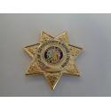 California Department of Corrections and Rehabilitation Pin  1-1/4"