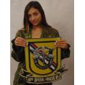 39th Special Forces Detachment (SF) Group Airborne all metal Sign  18 x 19"