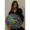 Naval Special Warfare Group Two  all metal Sign  16" Round