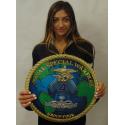 Naval Special Warfare Group Four (4) all metal Sign  16" Round