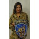 13th Airborne Division Metal Sign  11 x 16"